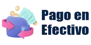 pago en efectivo logo 300x150 px formas de pago intratecno